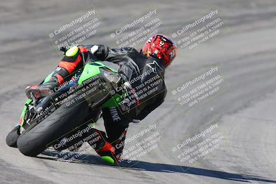 media/Feb-04-2024-SoCal Trackdays (Sun) [[91d6515b1d]]/4-Bowl Backside (11am)/